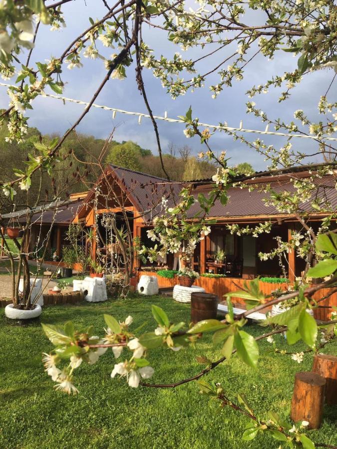 Lângă Stână Hotel Curtea De Arges Ngoại thất bức ảnh